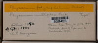 Image Associated With the Occurence